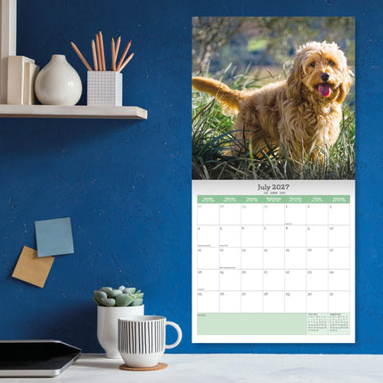 Baker & Bray Cockapoo Kalender 2027