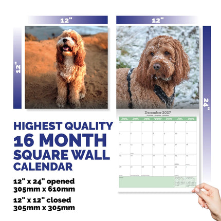 Baker & Bray Cockapoo Kalender 2027