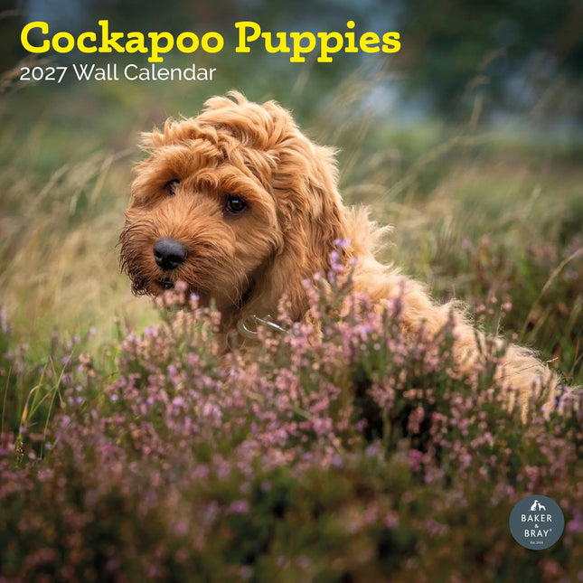 Baker & Bray Cockapoo Puppies Kalender 2027