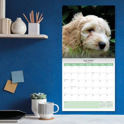 Baker & Bray Cockapoo Puppies Kalender 2027