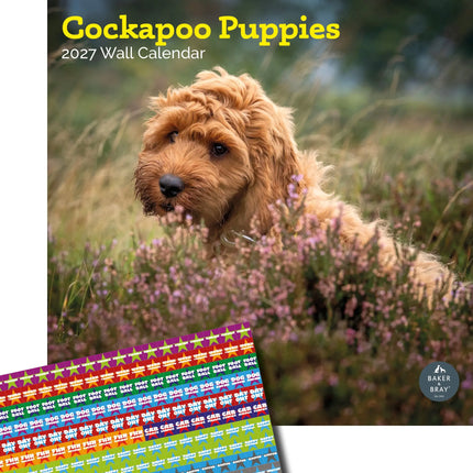Baker & Bray Cockapoo Puppies Kalender 2027