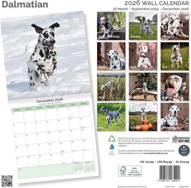 Baker & Bray Dalmatier Kalender 2026