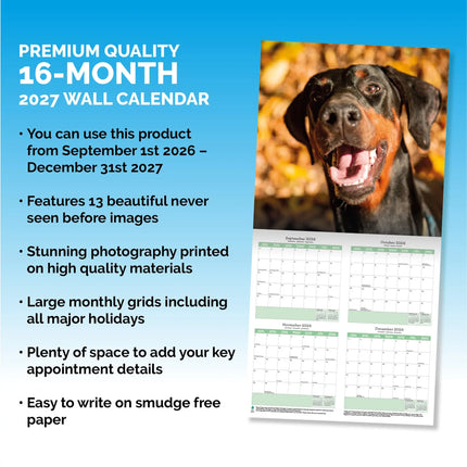 Baker & Bray Dobermann Kalender 2027