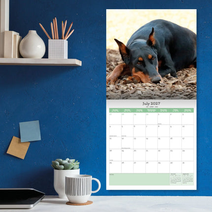 Baker & Bray Dobermann Kalender 2027