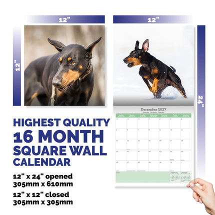 Baker & Bray Dobermann Kalender 2027