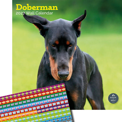 Baker & Bray Dobermann Kalender 2027