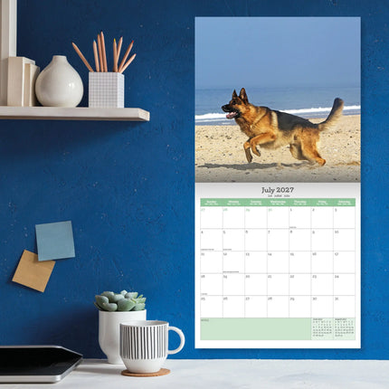 Baker & Bray Duitse Herder Kalender 2027