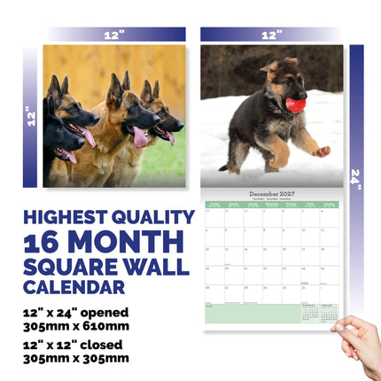 Baker & Bray Duitse Herder Kalender 2027