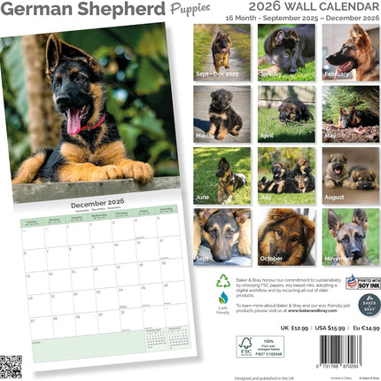 Baker & Bray Duitse Herder Puppies Kalender 2026