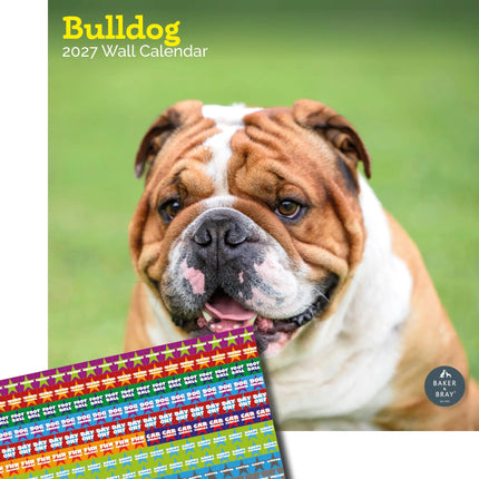 Baker & Bray Engelse Bulldog Kalender 2027