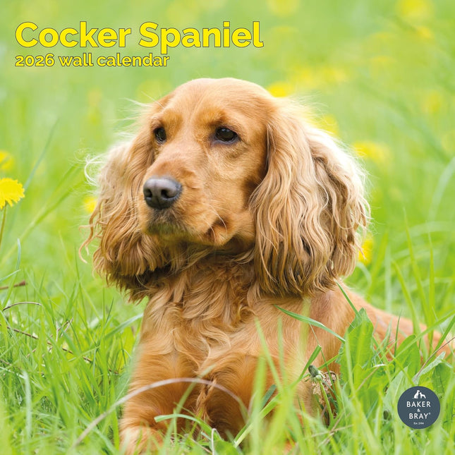 Baker & Bray Engelse Cocker Spaniel Kalender 2026