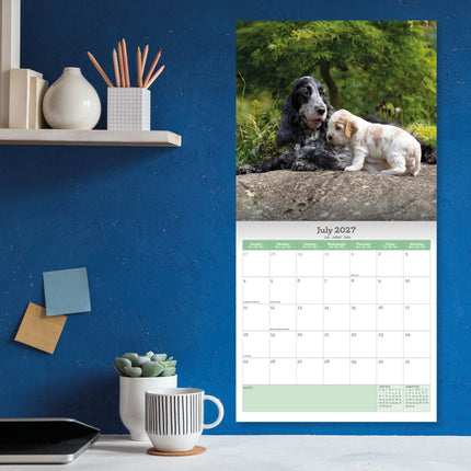 Baker & Bray Engelse Cocker Spaniel Kalender 2027