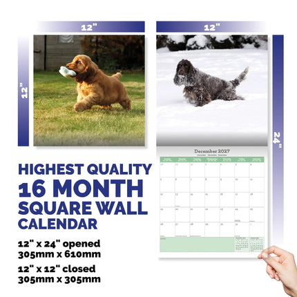 Baker & Bray Engelse Cocker Spaniel Kalender 2027
