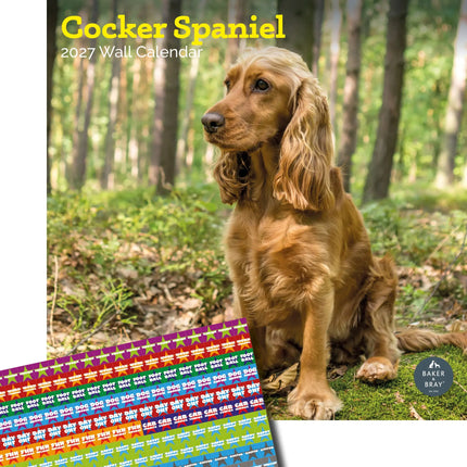 Baker & Bray Engelse Cocker Spaniel Kalender 2027