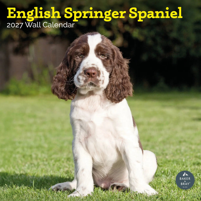Baker & Bray Engelse Springer Spaniel Kalender 2027