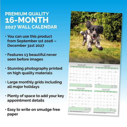 Baker & Bray Engelse Springer Spaniel Kalender 2027