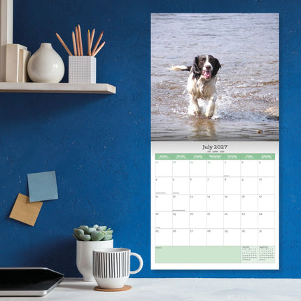 Baker & Bray Engelse Springer Spaniel Kalender 2027