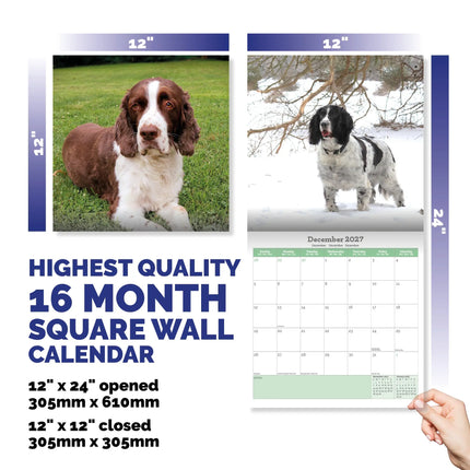 Baker & Bray Engelse Springer Spaniel Kalender 2027