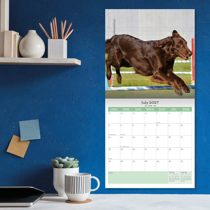 Baker & Bray Flatcoated Retriever Kalender 2027