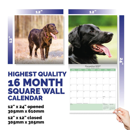 Baker & Bray Flatcoated Retriever Kalender 2027
