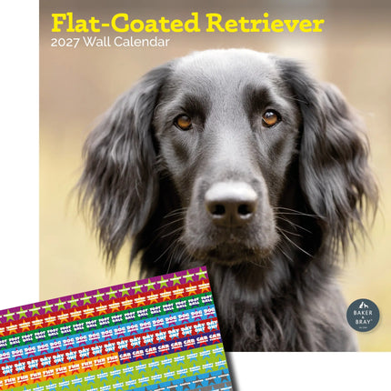 Baker & Bray Flatcoated Retriever Kalender 2027