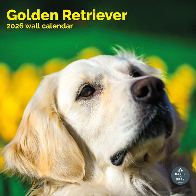 Baker & Bray Golden Retriever Kalender 2026
