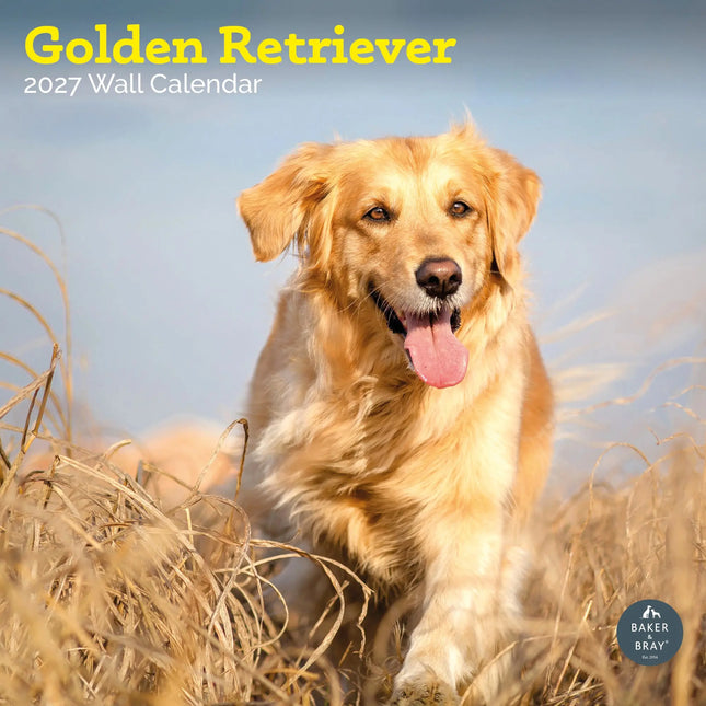 Baker & Bray Golden Retriever Kalender 2027