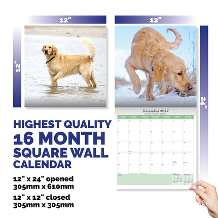 Baker & Bray Golden Retriever Kalender 2027
