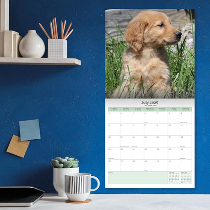 Baker & Bray Golden Retriever Puppies  Kalender 2026