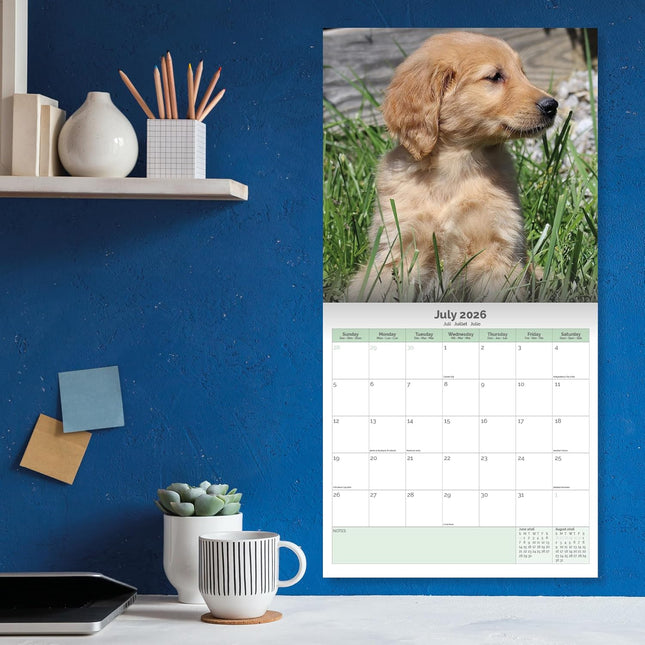 Baker & Bray Golden Retriever Puppies  Kalender 2026