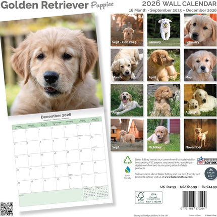 Baker & Bray Golden Retriever Puppies  Kalender 2026