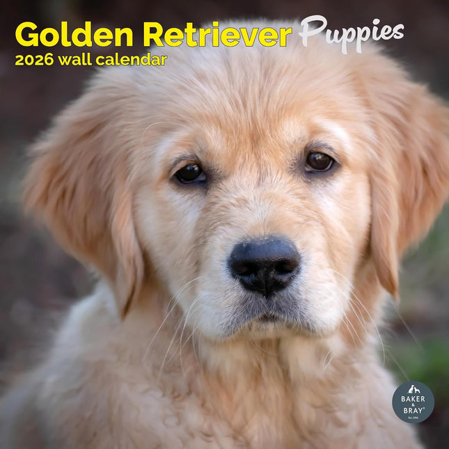 Baker & Bray Golden Retriever Puppies  Kalender 2026