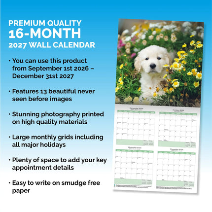 Baker & Bray Golden Retriever Puppies Kalender 2027