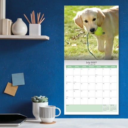 Baker & Bray Golden Retriever Puppies Kalender 2027