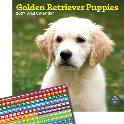 Baker & Bray Golden Retriever Puppies Kalender 2027