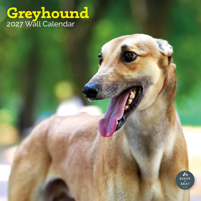 Baker & Bray Greyhound Kalender 2027