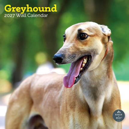 Baker & Bray Greyhound Kalender 2027