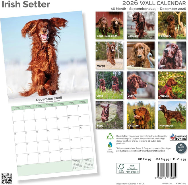 Baker & Bray Ierse Setter Kalender 2026
