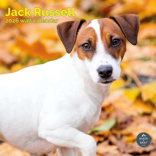 Baker & Bray Jack Russell Terrier Kalender 2026