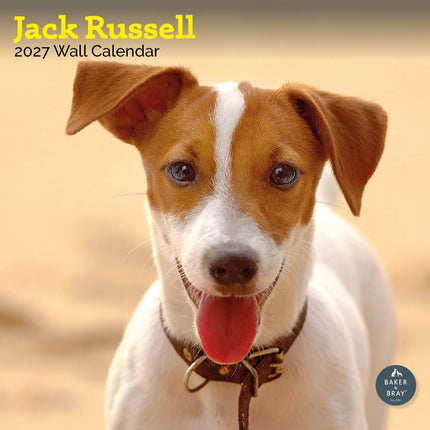 Baker & Bray Jack Russell Terrier Kalender 2027
