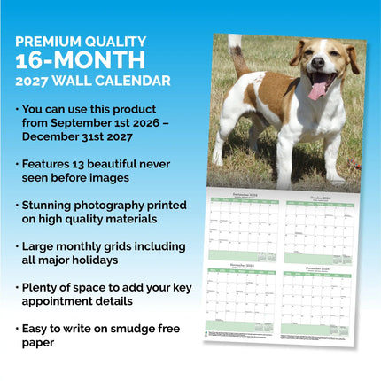 Baker & Bray Jack Russell Terrier Kalender 2027