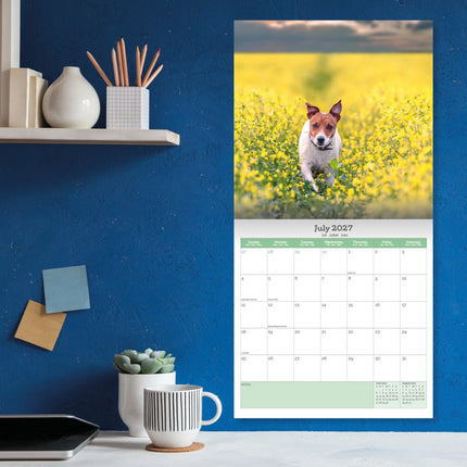 Baker & Bray Jack Russell Terrier Kalender 2027