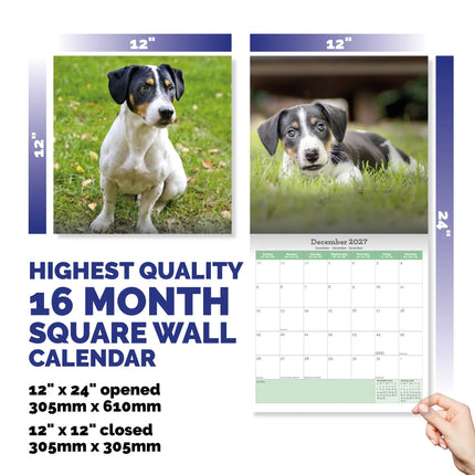 Baker & Bray Jack Russell Terrier Kalender 2027