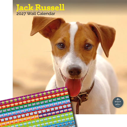 Baker & Bray Jack Russell Terrier Kalender 2027