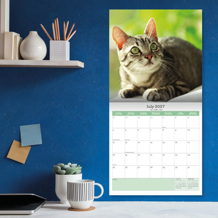 Baker & Bray Katten Kalender 2027
