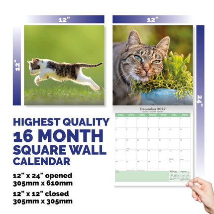 Baker & Bray Katten Kalender 2027