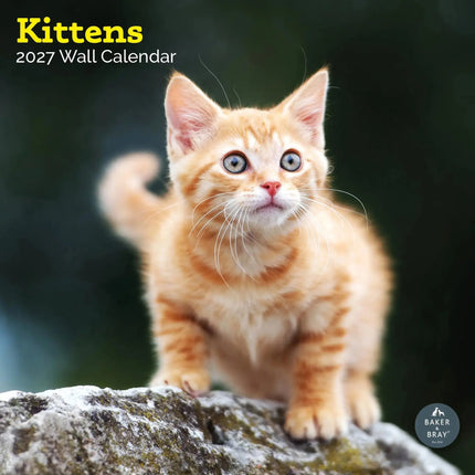 Baker & Bray Kittens Kalender 2027