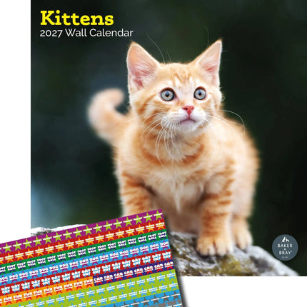 Baker & Bray Kittens Kalender 2027