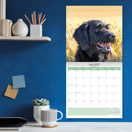 Baker & Bray Labradoodle Kalender 2027