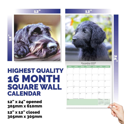 Baker & Bray Labradoodle Kalender 2027